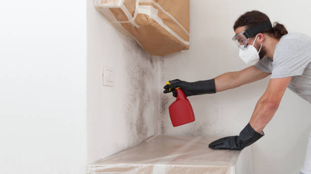 Professional Mold Inspection And Testing technician working in Lyndhurst, NJ